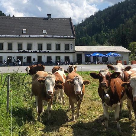Gasthof Zum Maurer Hotel Mariazell Exterior photo